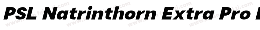 PSL Natrinthorn Extra Pro Bold Ital字体转换